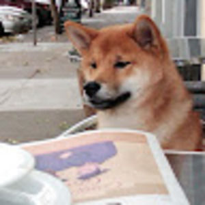 Meet your Posher, Mae